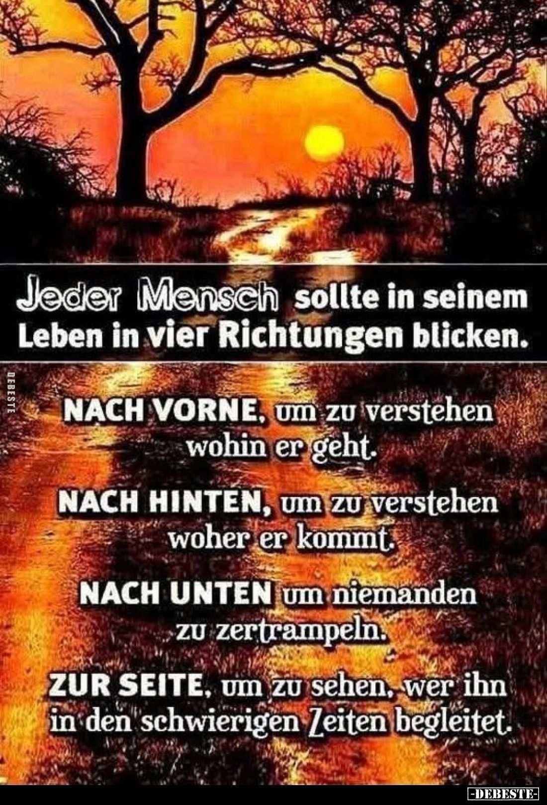 Jeder Mensch sollte in seinem Leben in vier Richtungen blicken.
NACH VORNE, um zu verstehen wohin er geht.
NACH HINTEN, um ...