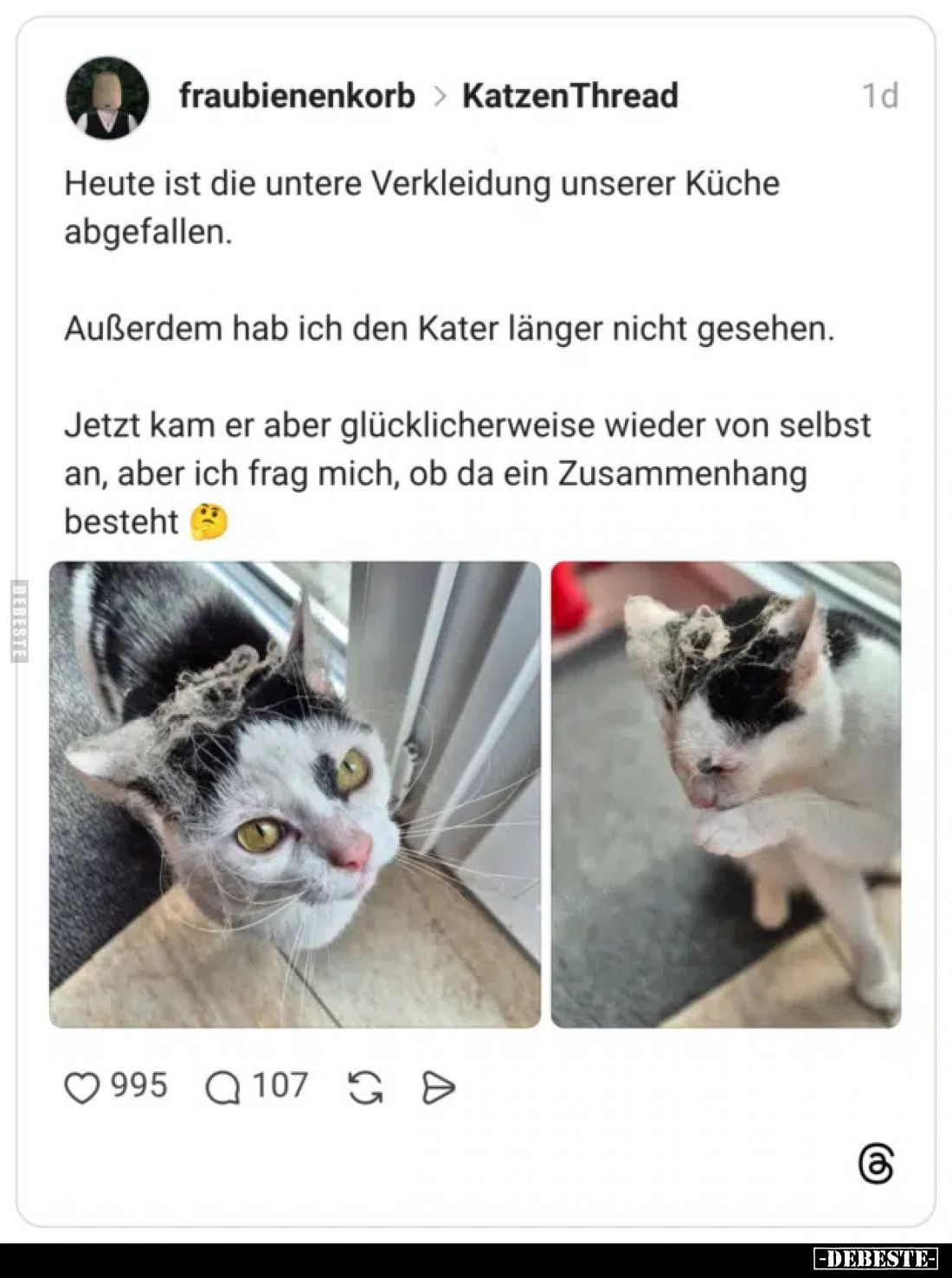 Heute ist die untere Verkleidung unserer Küche abgefallen.
Außerdem hab ich den Kater länger nicht gesehen.
Jetzt kam er ab...