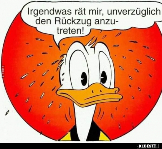 Irgendwas rät mir, unverzüglich den Rückzug anzutreten!..