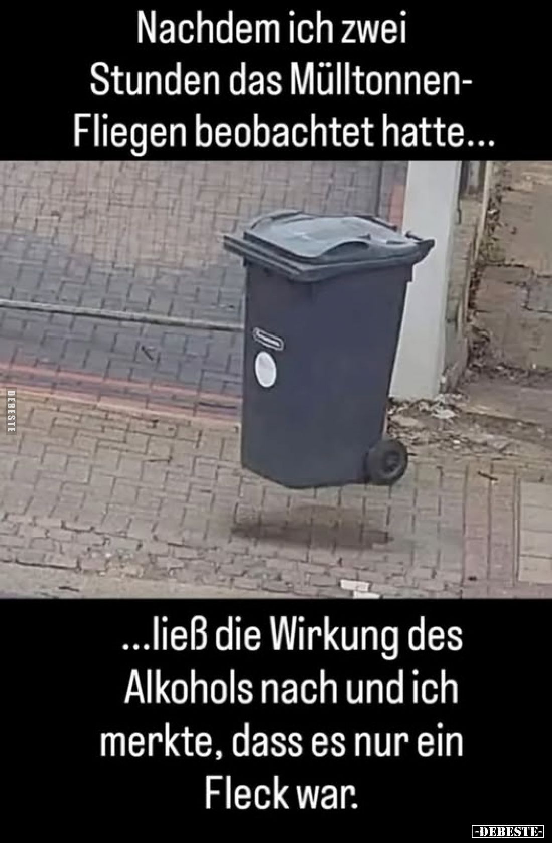 Nachdem ich zwei Stunden das Mülltonnen-Fliegen beobachtet hatte...
...ließ die Wirkung des Alkohols nach und ich merkte, da...