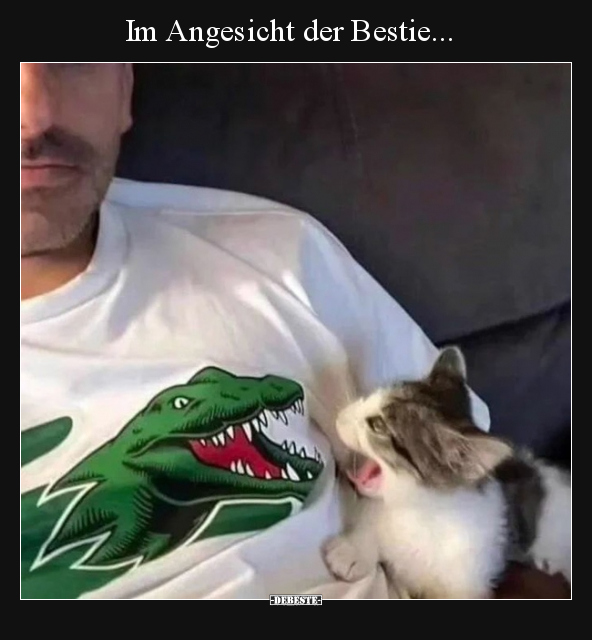 Im Angesicht der Bestie... - Lustige Bilder | DEBESTE.de