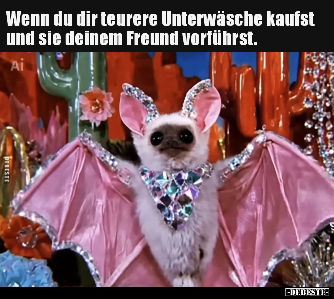 Wenn du dir teurere Unterwäsche kaufst und sie deinem Freund vorführst.