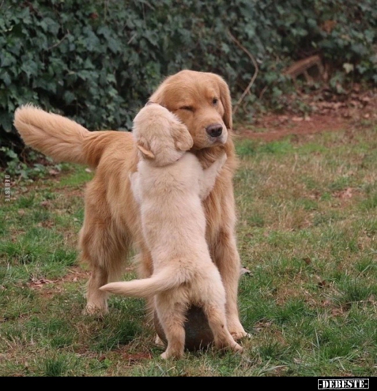  - Lustige Bilder | DEBESTE.de