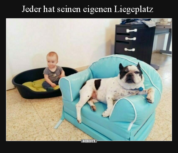 Jeder hat seinen eigenen Liegeplatz.. - Lustige Bilder | DEBESTE.de