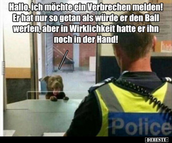 Hallo, ich möchte ein Verbrechen melden! - Lustige Bilder | DEBESTE.de
