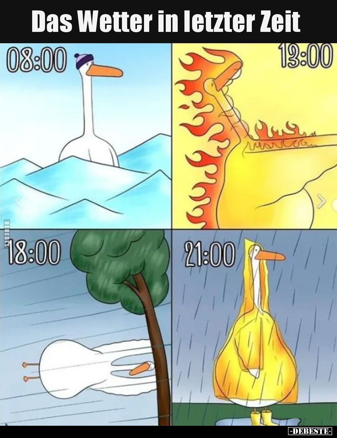 Das Wetter in letzter Zeit