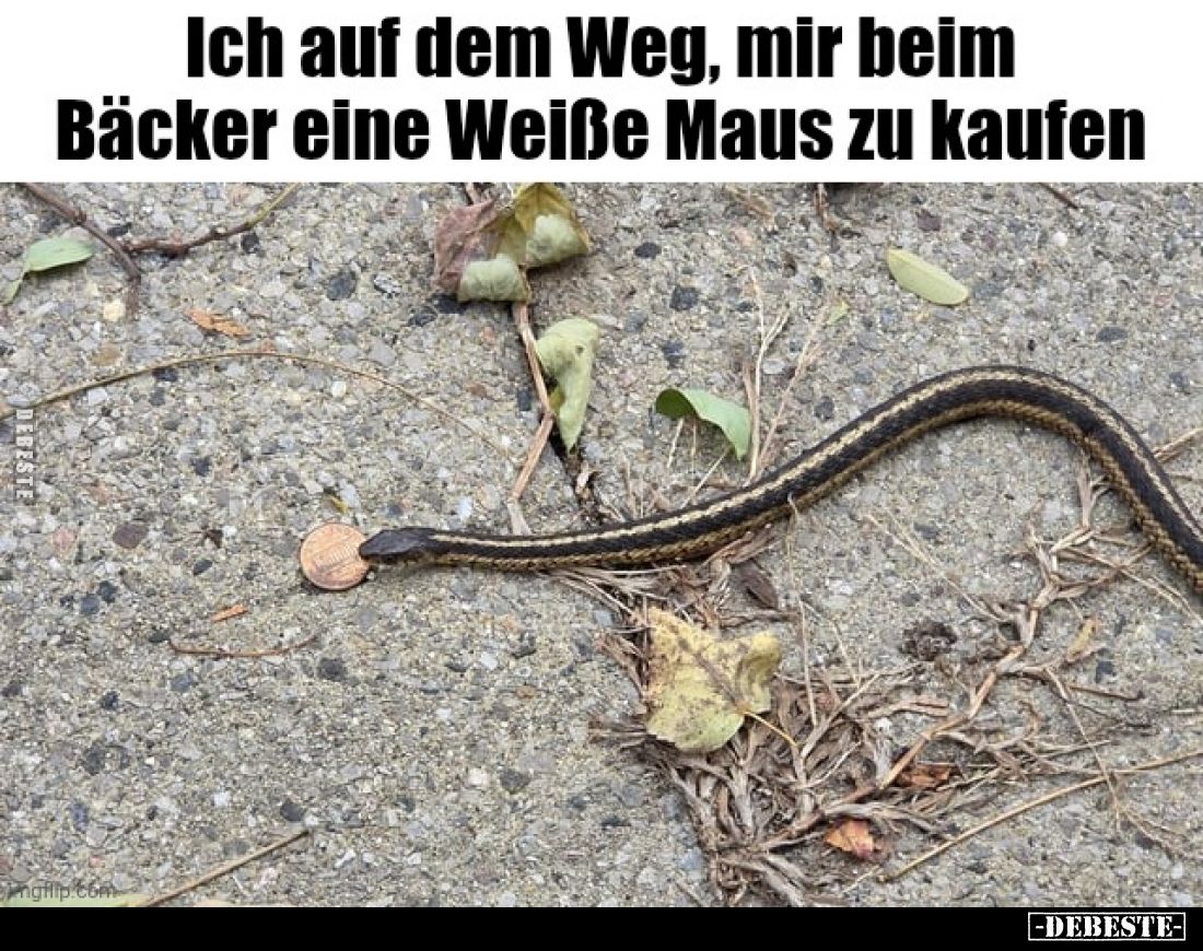 Ich auf dem Weg, mir beim Bäcker eine Weiße Maus zu kaufen