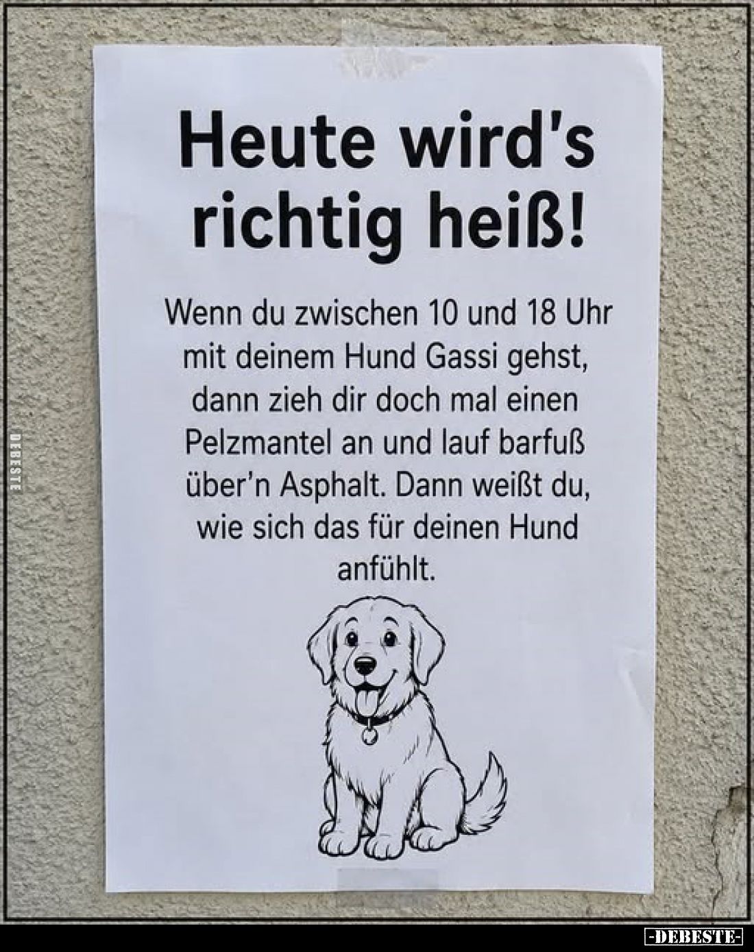 Heute wird's richtig heiß!
Wenn du zwischen 10 und 18 Uhr mit deinem Hund Gassi gehst, dann zieh dir doch mal einen Pelzmant...