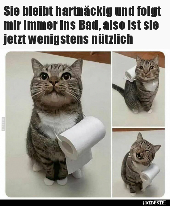 Sie bleibt hartnäckig und folgt mir immer ins Bad, also ist.. - Lustige Bilder | DEBESTE.de