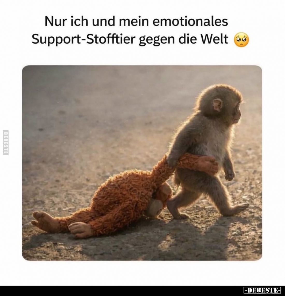Nur ich und mein emotionales Support-Stofftier gegen die Welt.