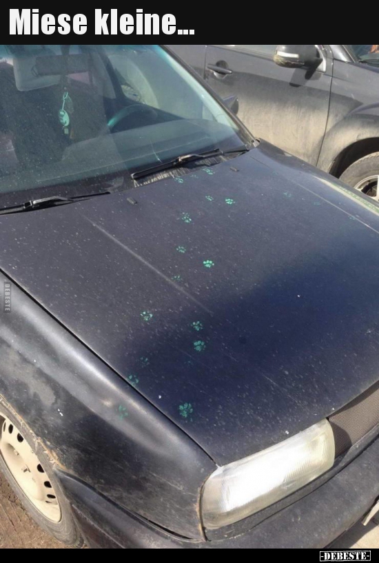 Miese kleine...