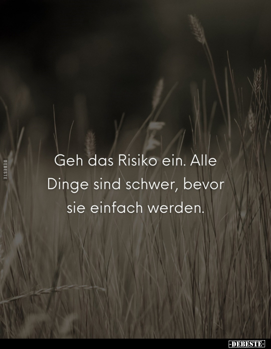 Geh das Risiko ein. Alle Dinge sind schwer.. - Lustige Bilder | DEBESTE.de