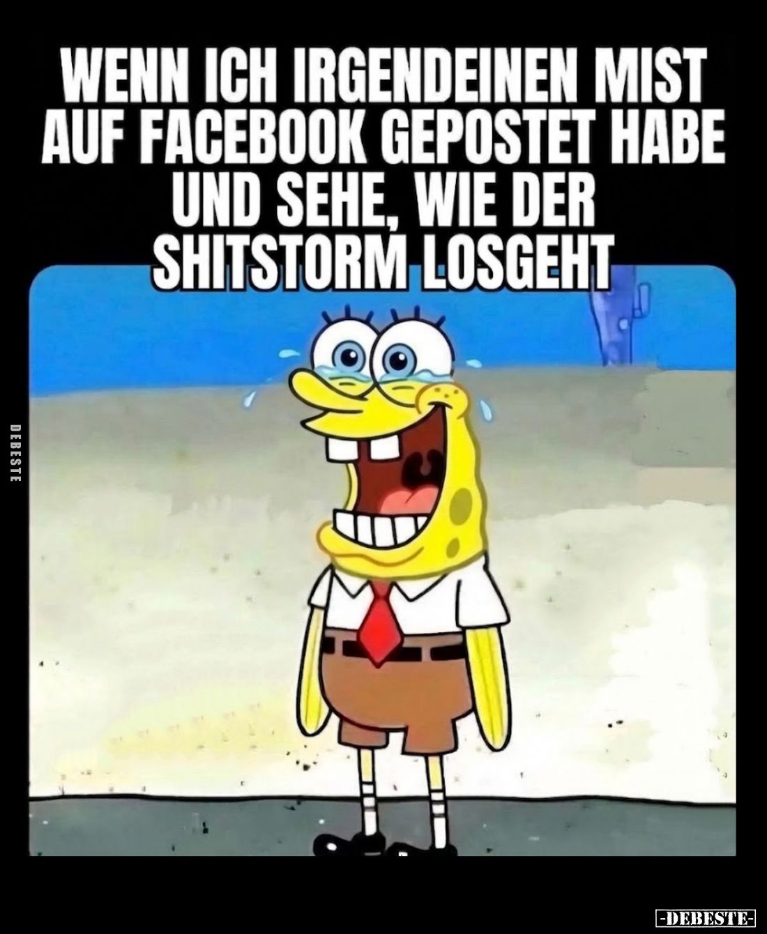 Wenn ich irgendeinen Mist auf Facebook gepostet habe und sehe, wie der Shitstorm losgeht.