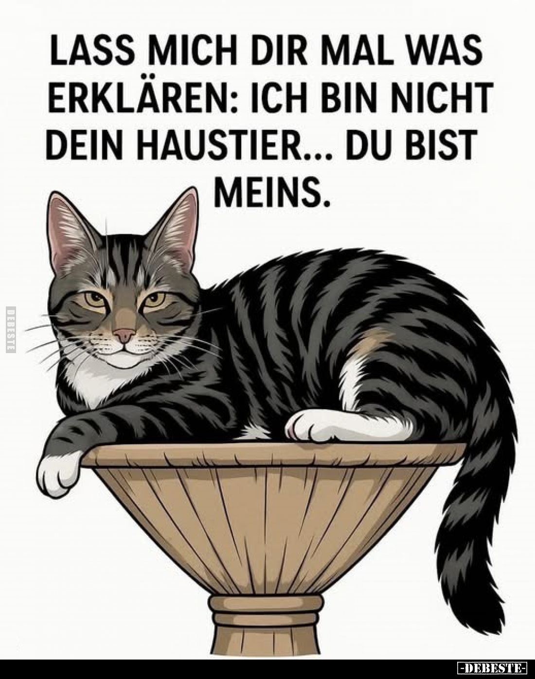 Lass mich dir mal was erklären: Ich bin nicht dein Haustier... du bist meins.