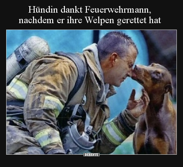 Hündin dankt Feuerwehrmann, nachdem er ihre Welpen gerettet.. - Lustige Bilder | DEBESTE.de