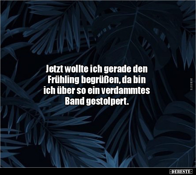 Jetzt wollte ich gerade den 
Frühling begrüßen, da bin 
ich über so ein verdammtes 
Band gestolpert.