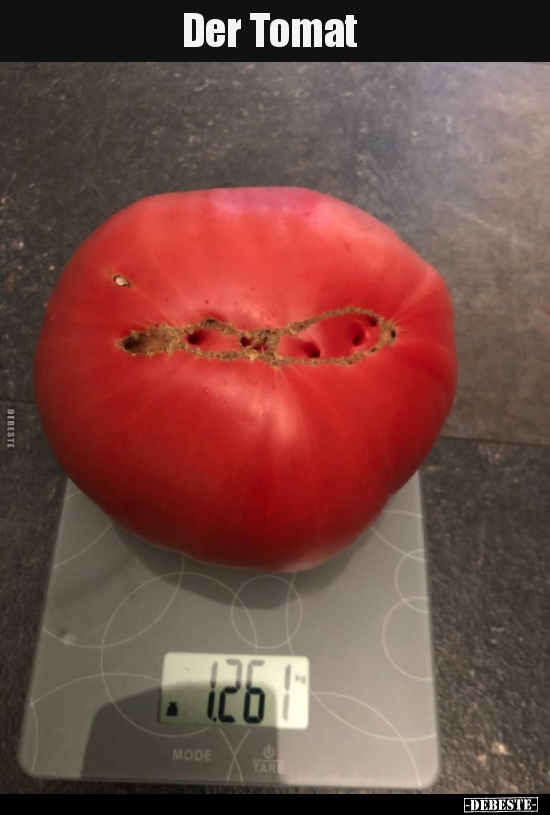 Der Tomat..