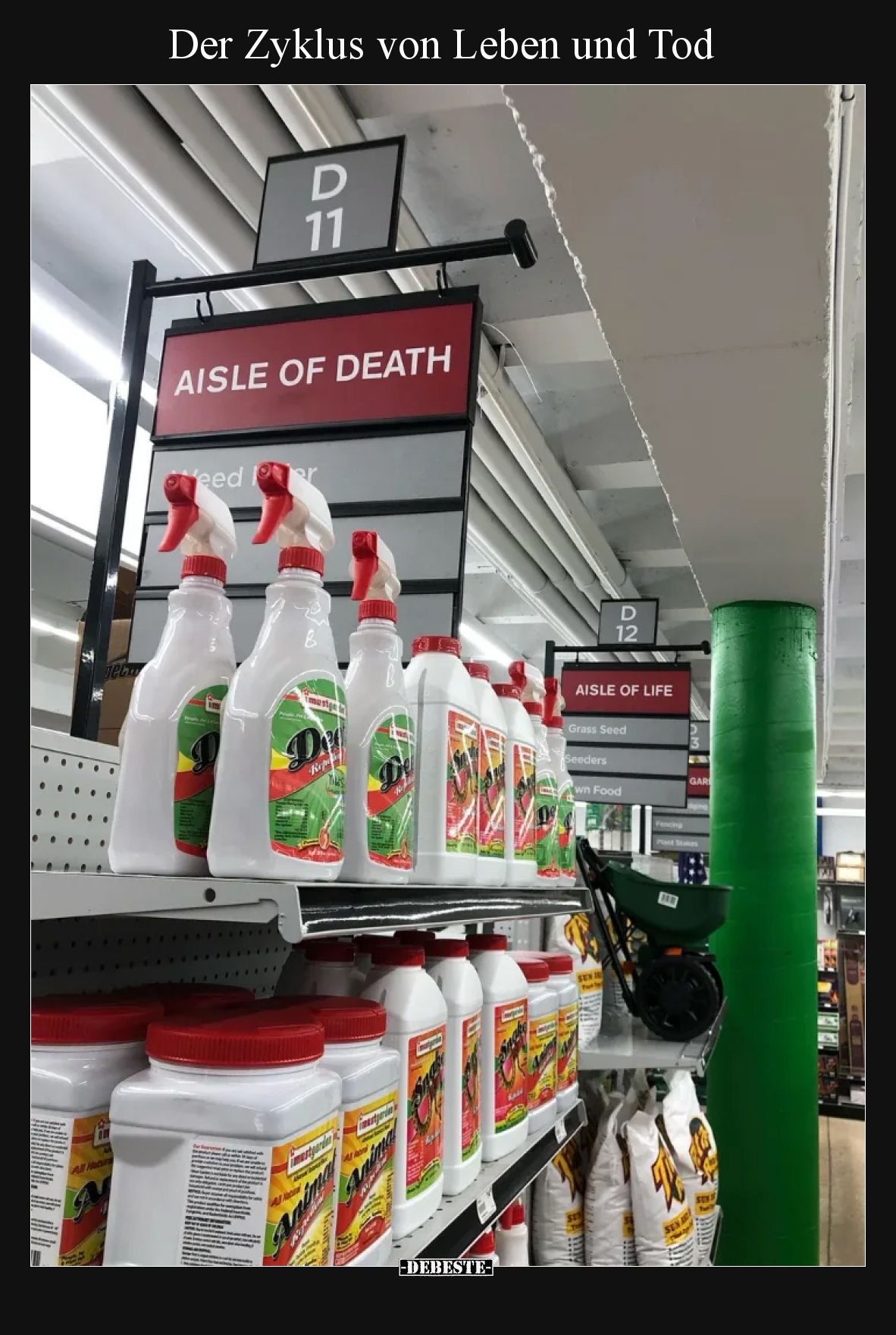 Der Zyklus von Leben und Tod