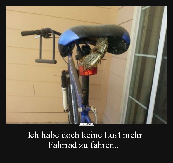 Ich habe doch keine Lust mehr Fahrrad zu fahren... - Lustige Bilder | DEBESTE.de
