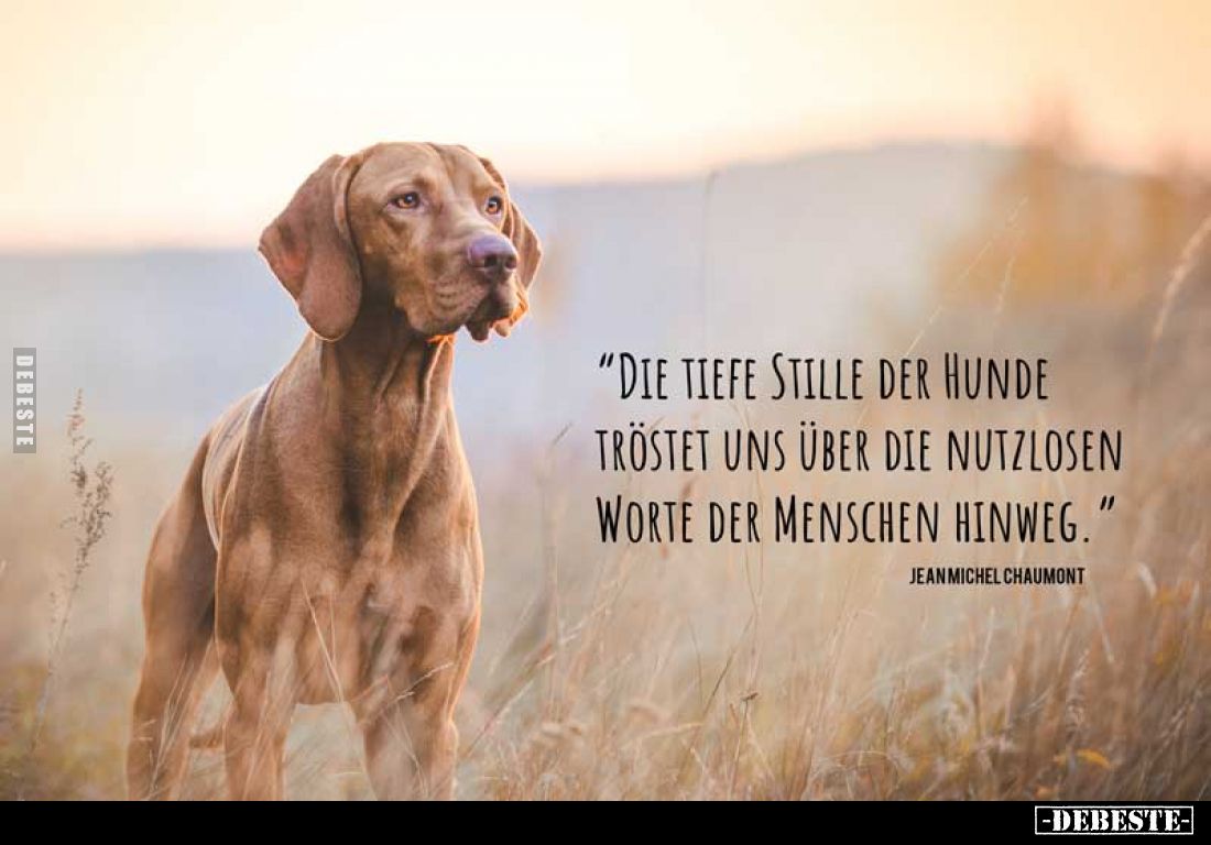 "Die tiefe Stille der Hunde tröstet uns über die nutzlosen Worte der Menschen hinweg."