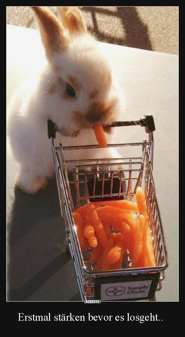 Erstmal stärken bevor es losgeht..