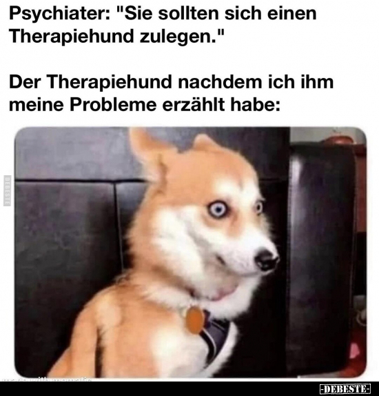 Psychiater: "Sie sollten sich einen Therapiehund.." - Lustige Bilder | DEBESTE.de