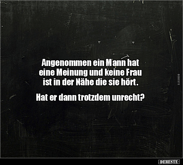 Angenommen ein Mann hat eine Meinung und keine Frau ist.. - Lustige Bilder | DEBESTE.de