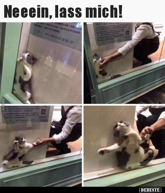 Neeein, lass mich!..