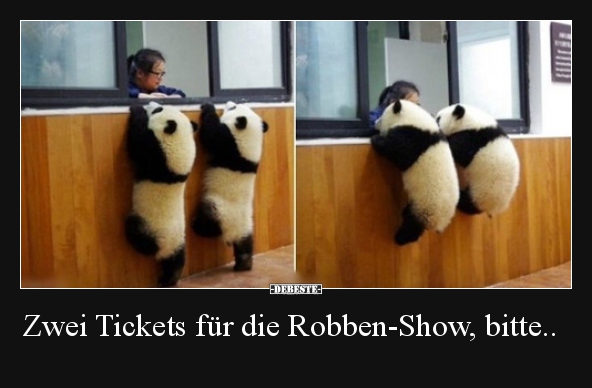 Zwei Tickets für die Robben-Show, bitte..