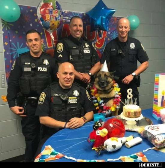  - Lustige Bilder | DEBESTE.de