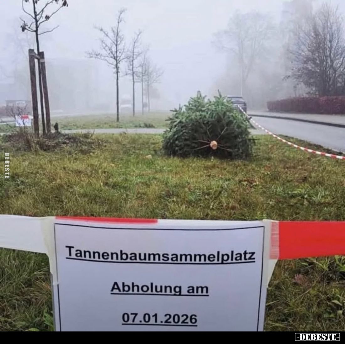 Tannenbaumsammelplatz Abholung am 07.01.2026.