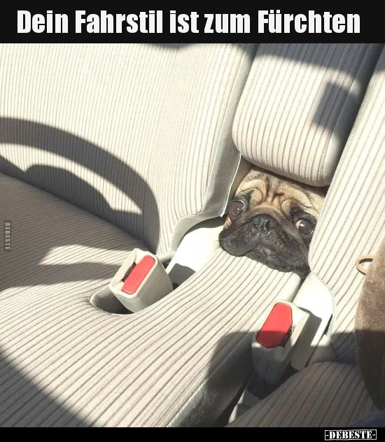 Dein Fahrstil ist zum Fürchten..