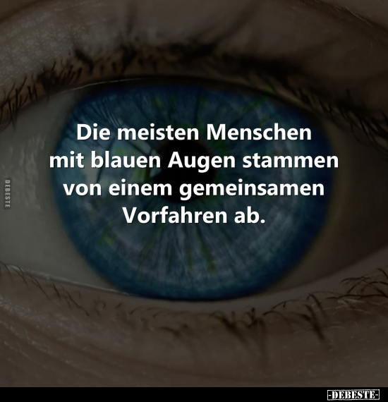 Die meisten Menschen mit blauen Augen stammen von einem.. - Lustige Bilder | DEBESTE.de