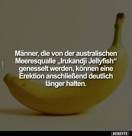 Männer, die von der australischen Meeresqualle "Irukandji Jellyfish" genesselt werden, können eine Erektion anschli...
