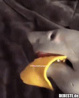 Und deshalb sind Haie so gefährlich...