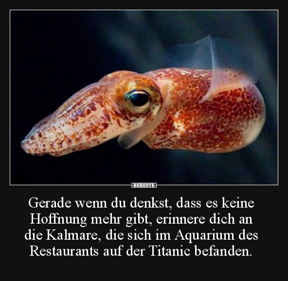 Gerade wenn du denkst, dass es keine Hoffnung mehr gibt.. - Lustige Bilder | DEBESTE.de