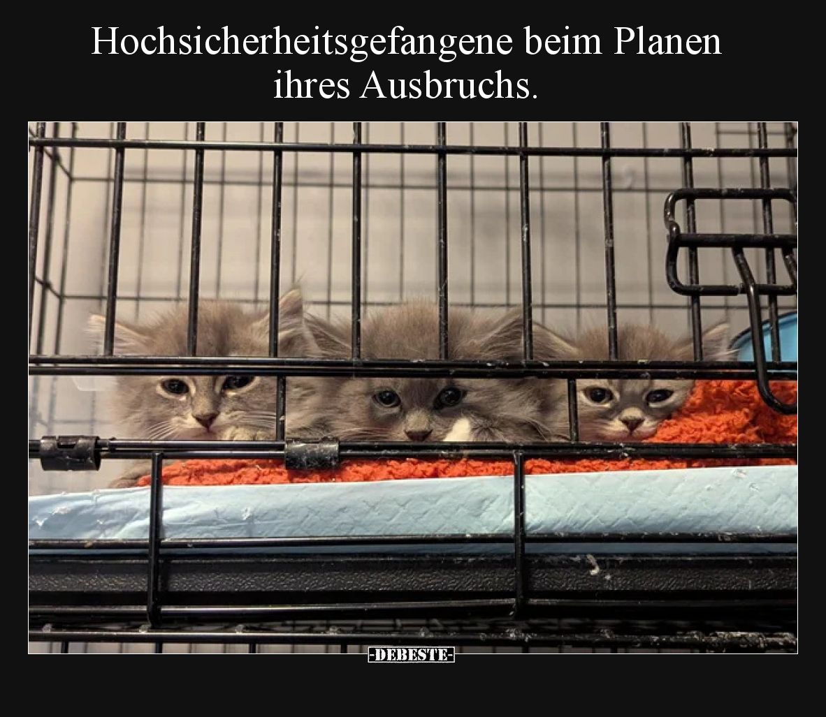 Hochsicherheitsgefangene beim Planen ihres Ausbruchs