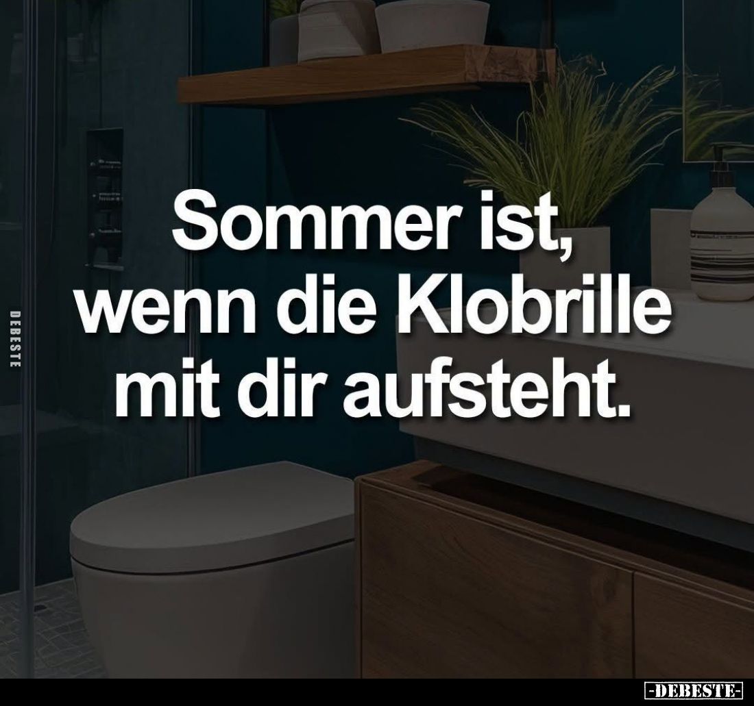Sommer ist, wenn die Klobrille mit dir aufsteht.
