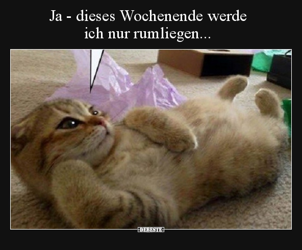 Ja - dieses Wochenende werde ich nur rumliegen...