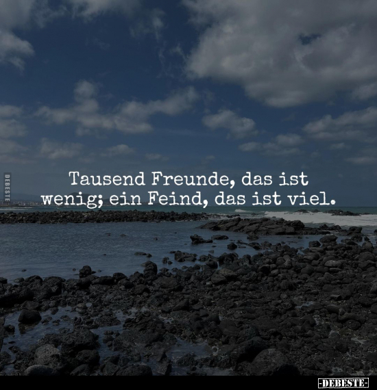 Tausend Freunde, das ist wenig.. - Lustige Bilder | DEBESTE.de