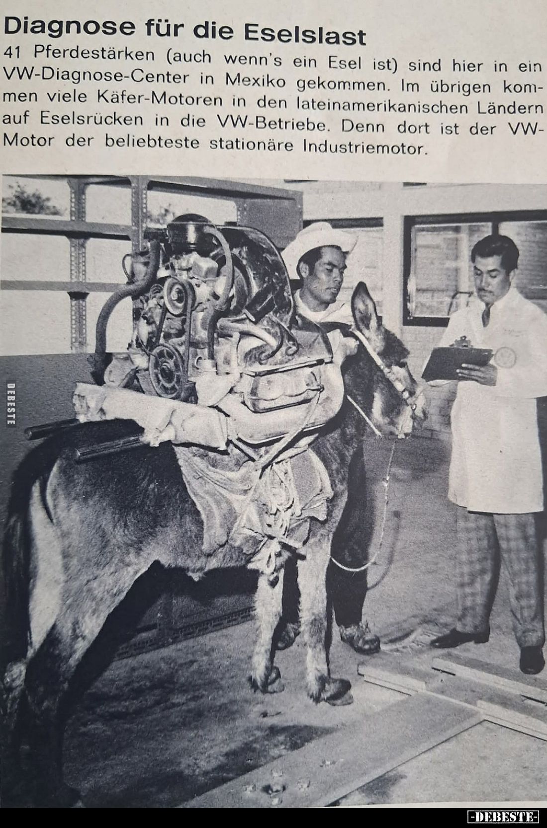 Diagnose für die Eselslast.

41 Pferdestärken (auch wenn's ein Esel ist) sind hier in ein VW-Diagnose-Center in Mexiko geko...