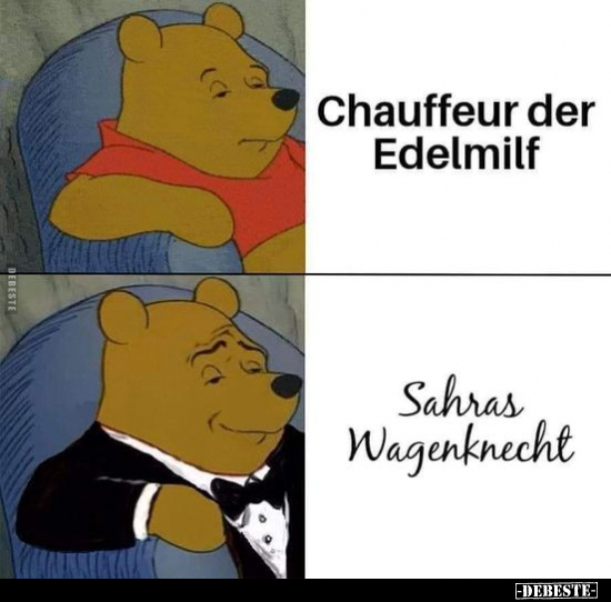 Chauffeur der Edelmilf.. - Lustige Bilder | DEBESTE.de