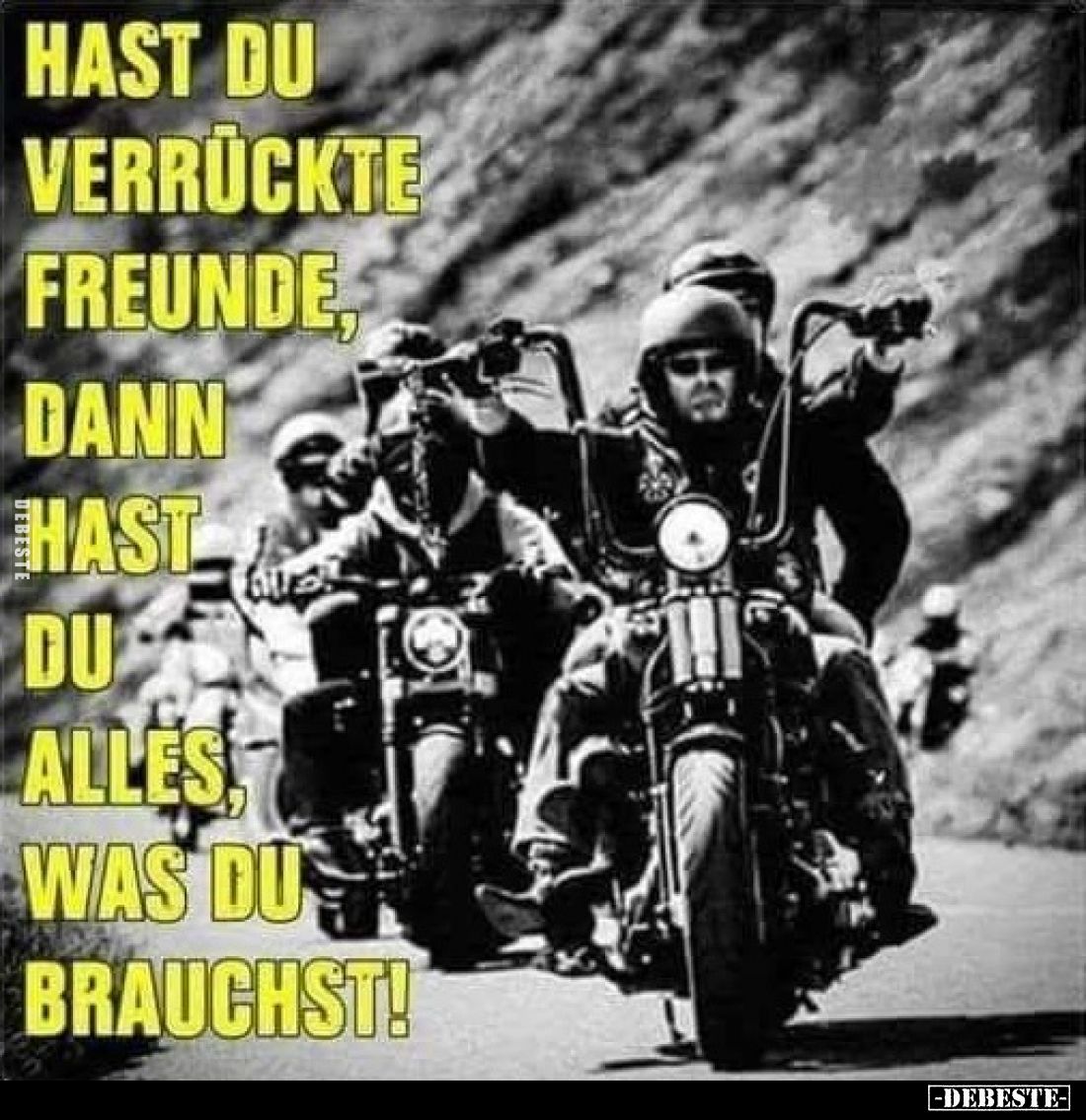 Hast du verrückte Freunde dann hast du alles, was du brauchst!