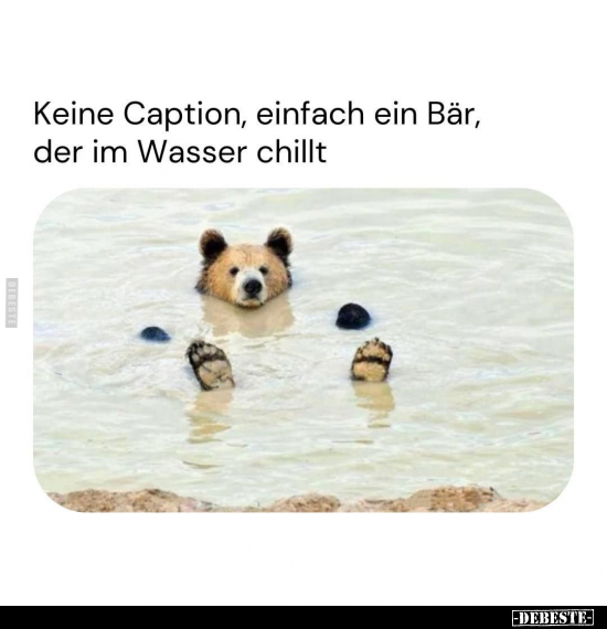 Keine Caption, einfach ein Bär, der im Wasser chillt.. - Lustige Bilder | DEBESTE.de