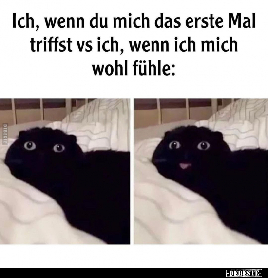 Ich, wenn du mich das erste Mal triffst vs ich, wenn ich.. - Lustige Bilder | DEBESTE.de