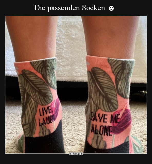 Die passenden Socken ☻.. - Lustige Bilder | DEBESTE.de