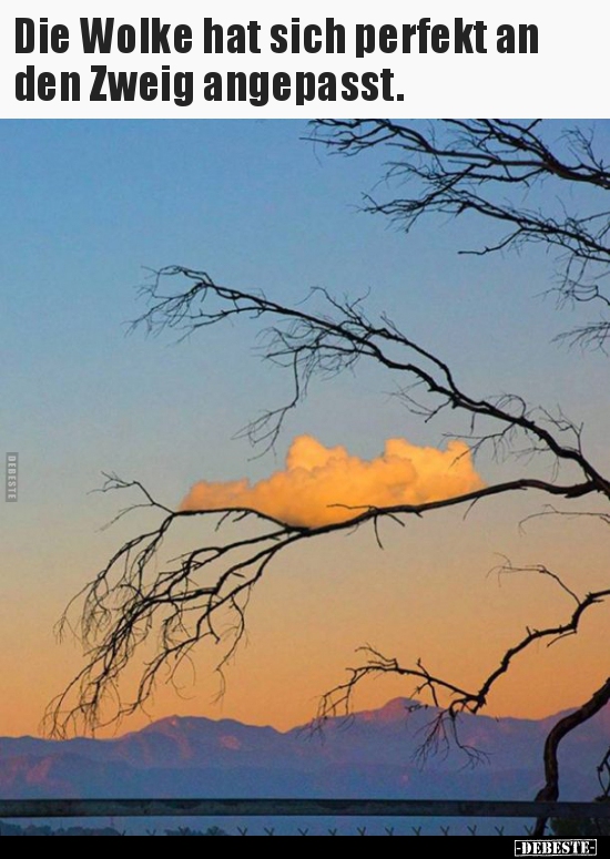 Die Wolke hat sich perfekt an den Zweig angepasst... - Lustige Bilder | DEBESTE.de