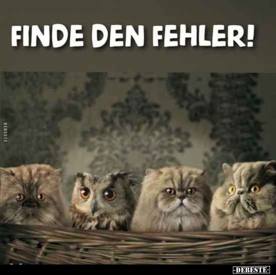 Finde den Fehler!.. - Lustige Bilder | DEBESTE.de