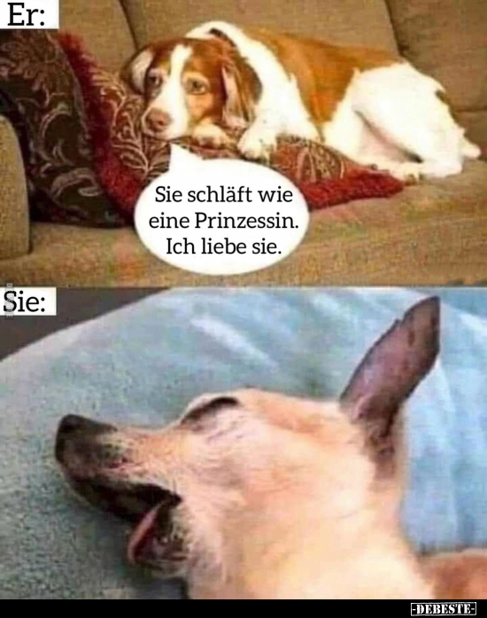 Er: Sie schläft wie eine Prinzessin.. - Lustige Bilder | DEBESTE.de