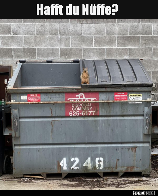 Hafft du Nüffe?..